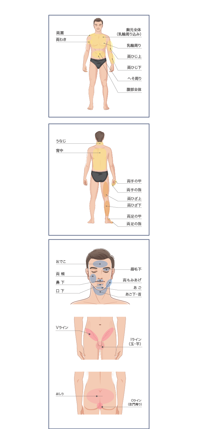 下記全身まとめて脱毛